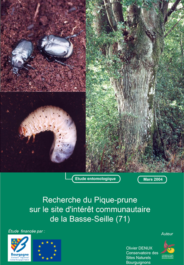 rapport Olivier DENUX CEN Bourgogne sur la recherche du Pique-Prune sur le site d'interet communautaire de la Basse-Seille en Bourgogne Saone-et-Loire 71