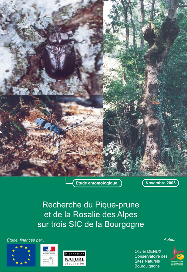 rapport Olivier Denux CEN Bourgogne sur la recherche du Pique-Prune et de la Roslaie des Alapes sur trois SIC de Bourgogne